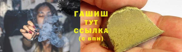 гидра Гусиноозёрск