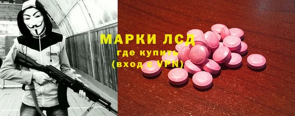 гидра Гусиноозёрск