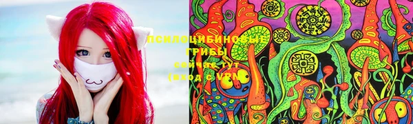 спиды Гусь-Хрустальный