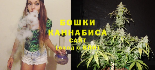 гидра Гусиноозёрск