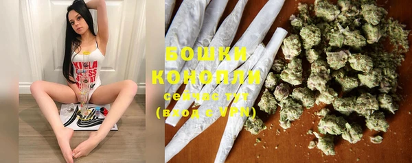 гидра Гусиноозёрск