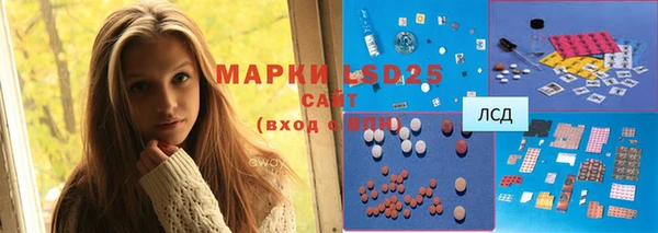 гидра Гусиноозёрск