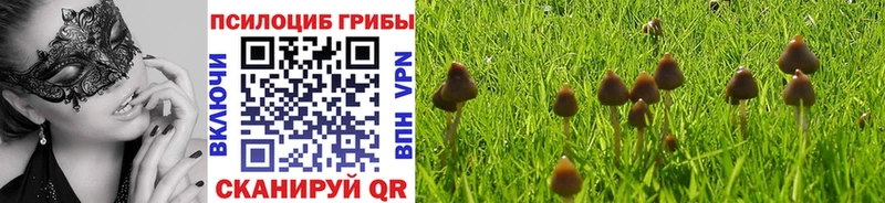 Галлюциногенные грибы Psilocybine cubensis  как найти закладки  Наро-Фоминск 
